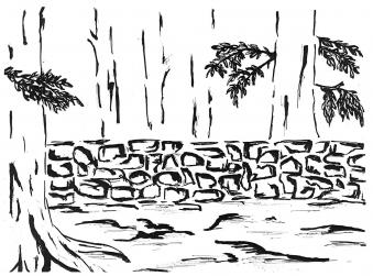 103-06-2025-082142-11