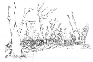 103-06-2025-082142-13