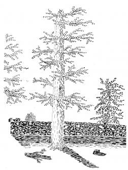 103-06-2025-082142-15