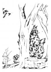 103-06-2025-082142-2