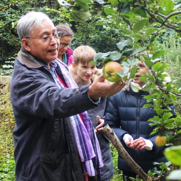 Screenshot 2024-10-11 091728