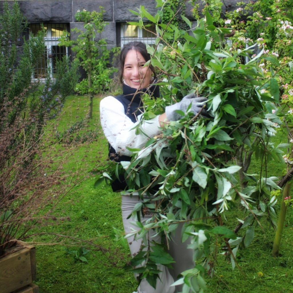 Screenshot 2024-10-11 084528