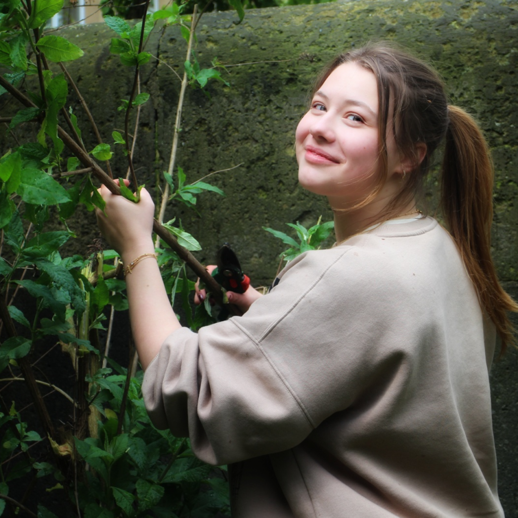 Screenshot 2024-10-11 084704