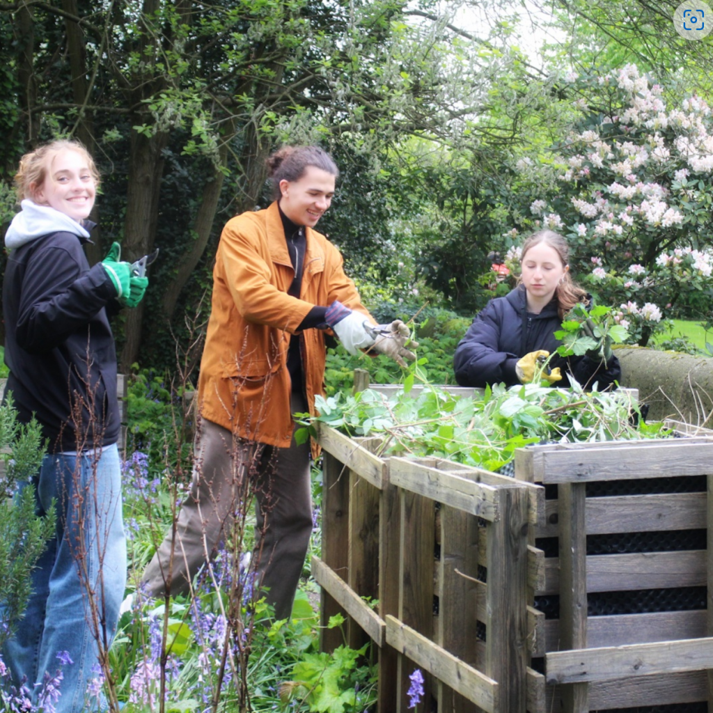 Screenshot 2024-10-11 084801